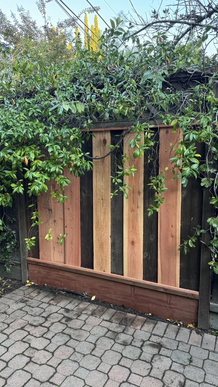 New boards set into an existing fence line