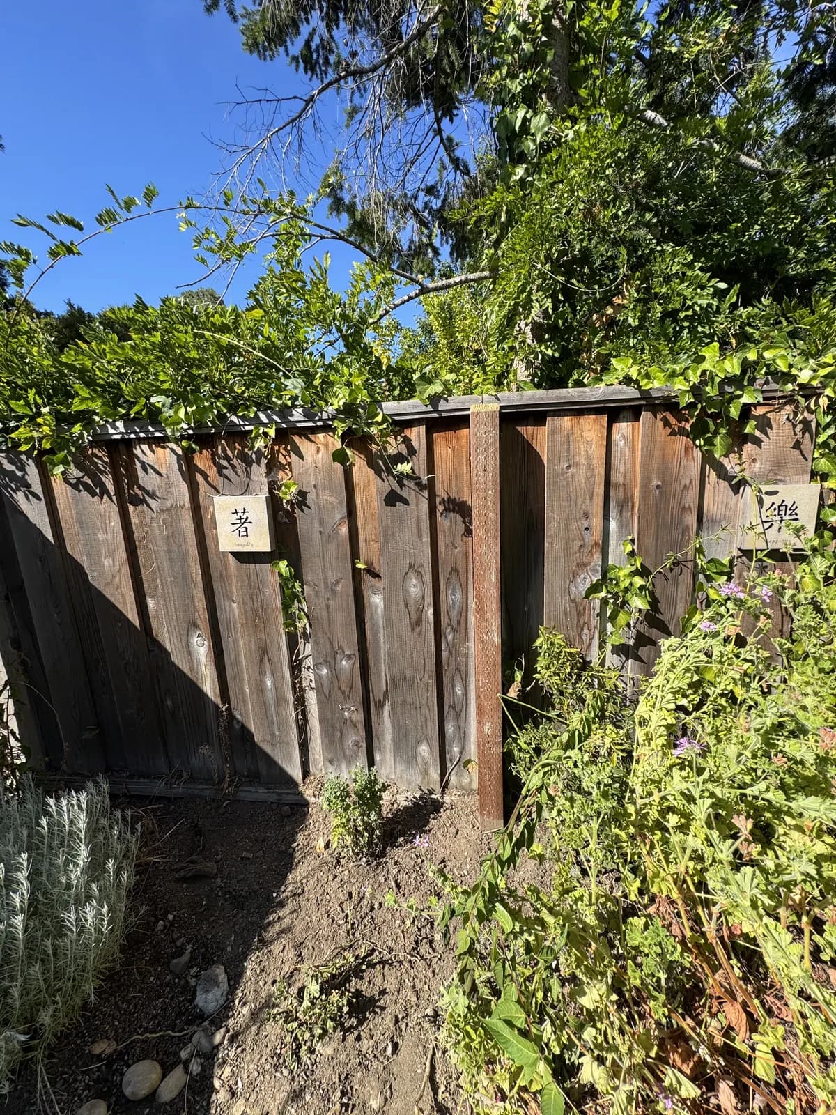 New redwood post in a grey fence bay hung with two small painted tiles, lavender and pelargonium in the border