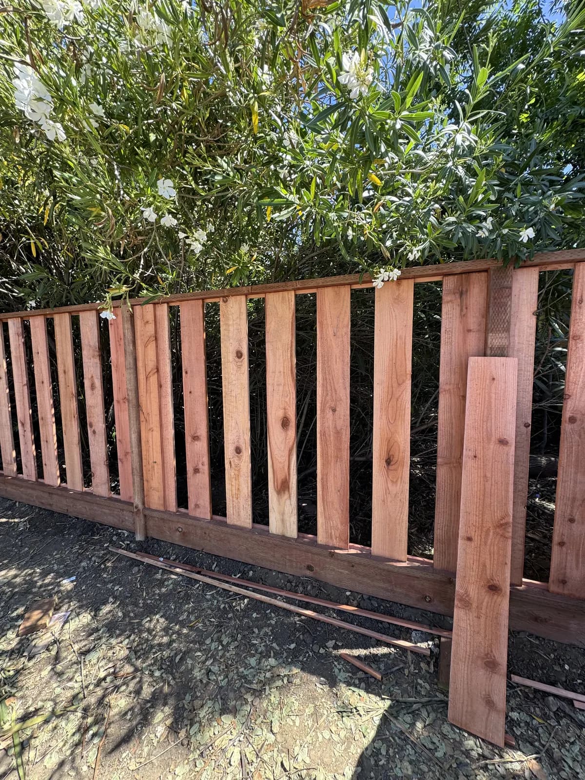 Fence part-boarded with uneven gaps between the pickets, loose boards and offcuts lying on the ground in front